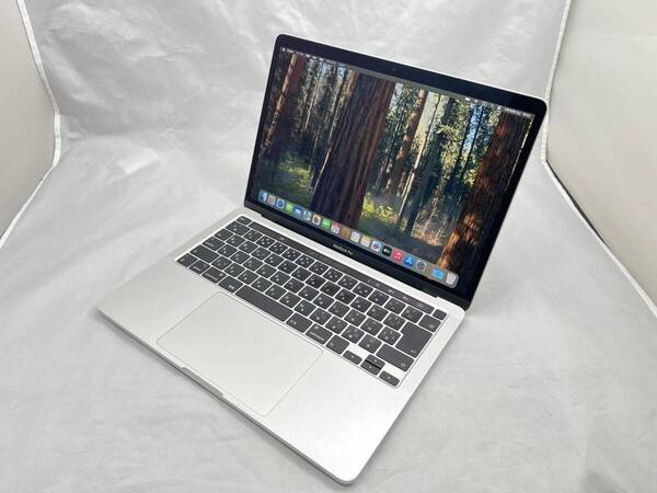 APPLE MacBook Pro (13-inch, 2020, Four Thunderbolt 3 ports) シルバー (Core i7-2.3GHz_32GB_1TB)_#300775