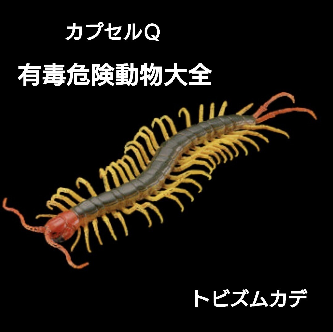 2025年最新】Yahoo!オークション -#危険動物(フィギュア)の中古 2025年最新】Yahoo!オークション -#危険動物(フィギュア)の中古