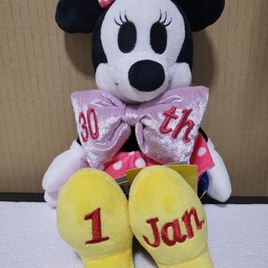 完売品 ヴィレッジヴァンガード アニバーサリー ミニーマウス ぬいぐるみ 1月 ナカジマコーポレーション Disney Anniversary WY-141317
