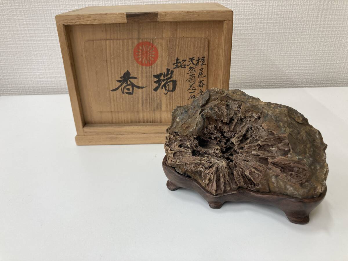 Yahoo!オークション -「菊花石」の落札相場・落札価格 Yahoo!オークション -「菊花石」の落札相場・落札価格