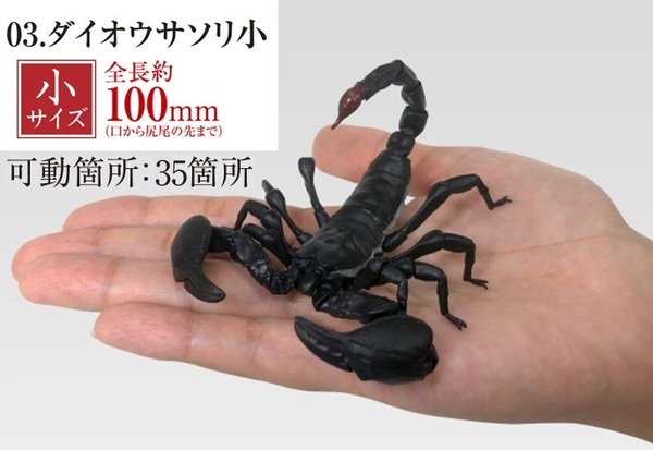 【送料無料】いきもの大図鑑 サソリ ダイオウサソリ(小)