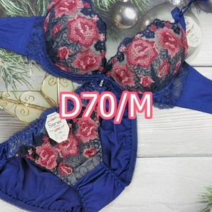 D70023-P D70/M ブラ・ショーツセット ランジェリー インナー 下着 ダブルパッド レモンパッド