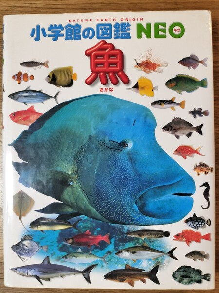 魚 (小学館の図鑑NEO 4) 井田齊/監修・執筆 松浦啓一/監修・執筆 藍澤正宏/ほか