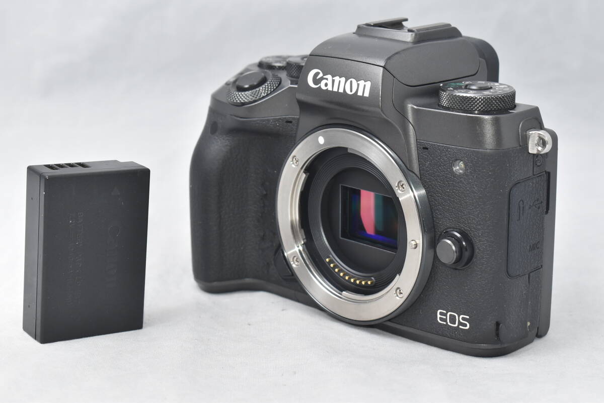 2025年最新】Yahoo!オークション -canon eos m5 ボディの中古品 2025年最新】Yahoo!オークション -canon eos m5 ボディの中古品