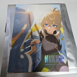 韓国 NIKKE OLD TALES イラストボード 色紙 1