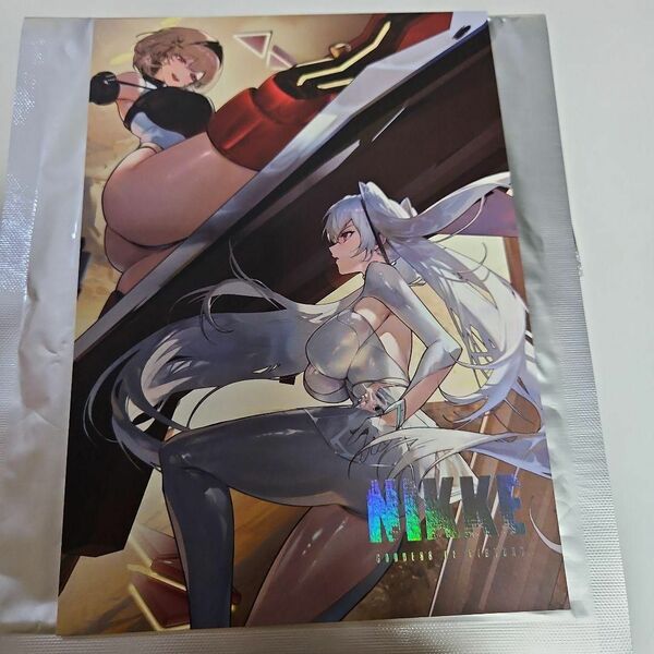韓国 NIKKE OLD TALES イラストボード 色紙 11