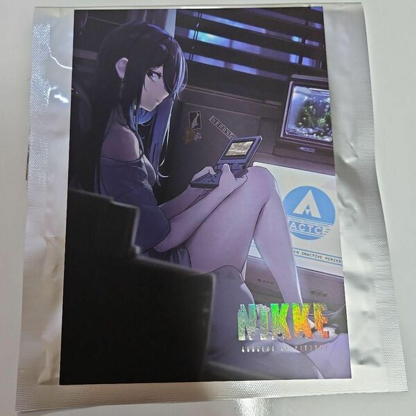 韓国 Nikke ニケ 愛蔵品 色紙 イラストボード 2
