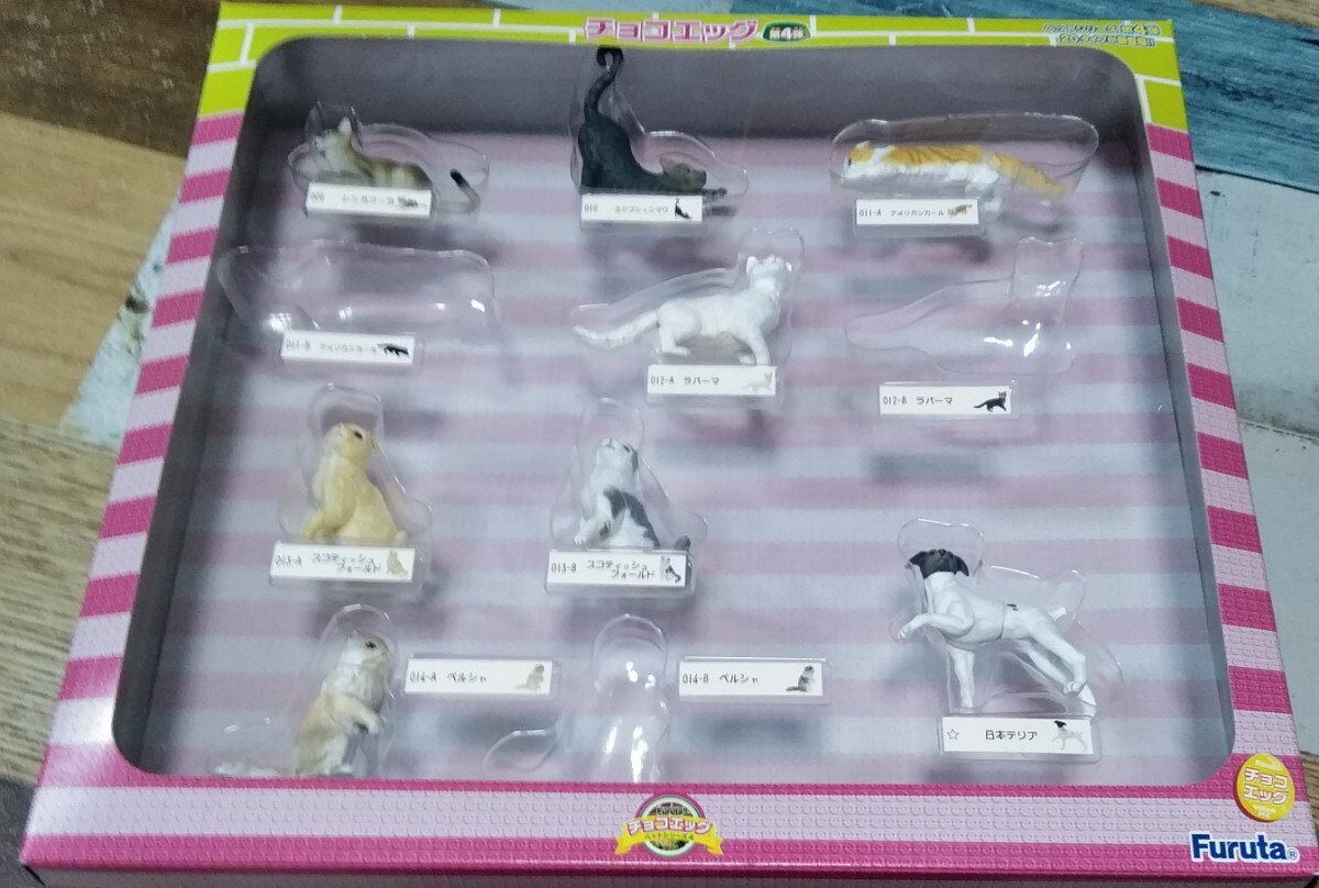 2025年最新】Yahoo!オークション - ペット動物コレクション 2025年最新】Yahoo!オークション - ペット動物コレクション