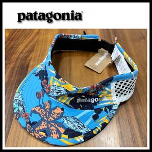 【廃盤 希少】新品 パタゴニア ダックビル・バイザー