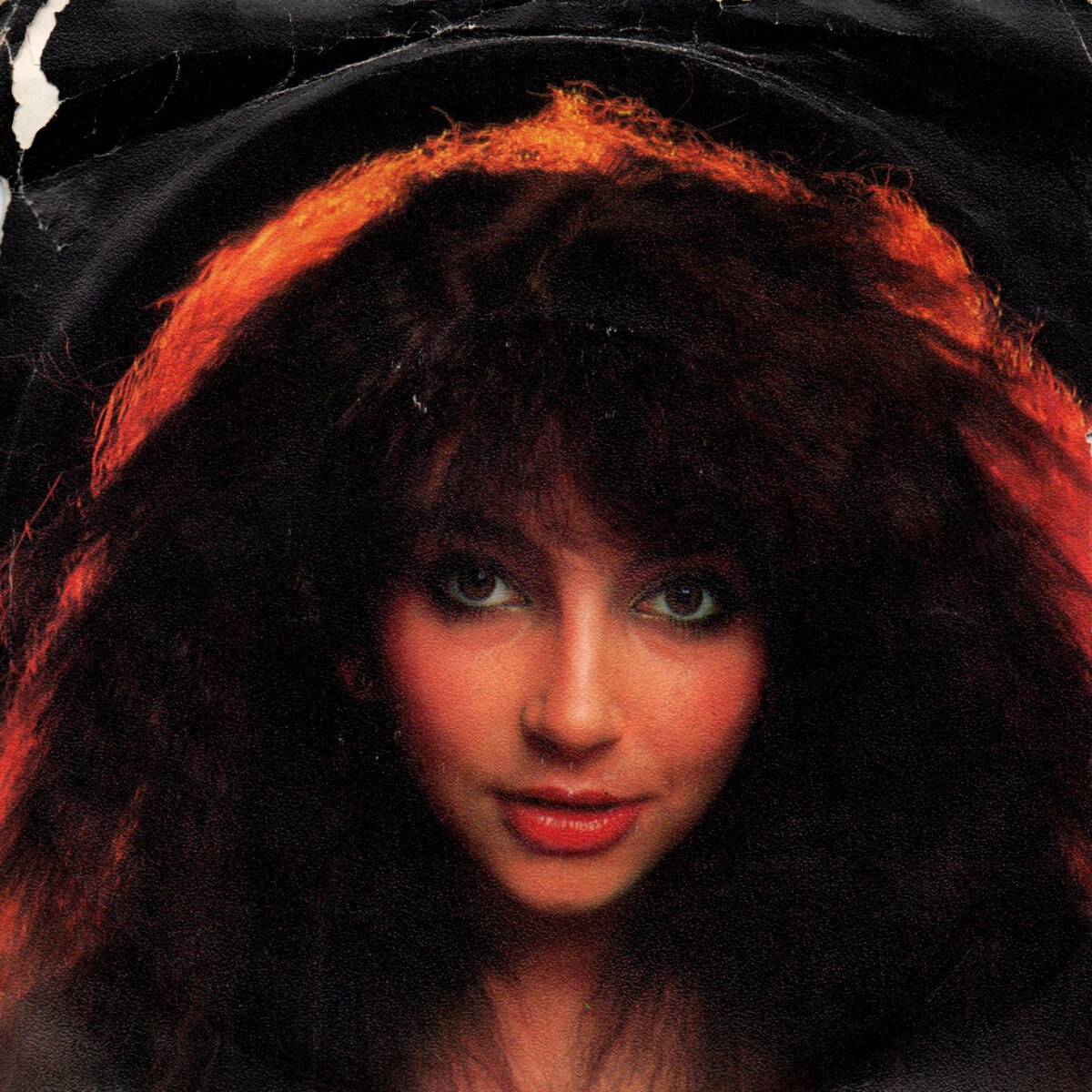 2025年最新】Yahoo!オークション -kate bush レコードの中古品 2025年最新】Yahoo!オークション -kate bush レコードの中古品