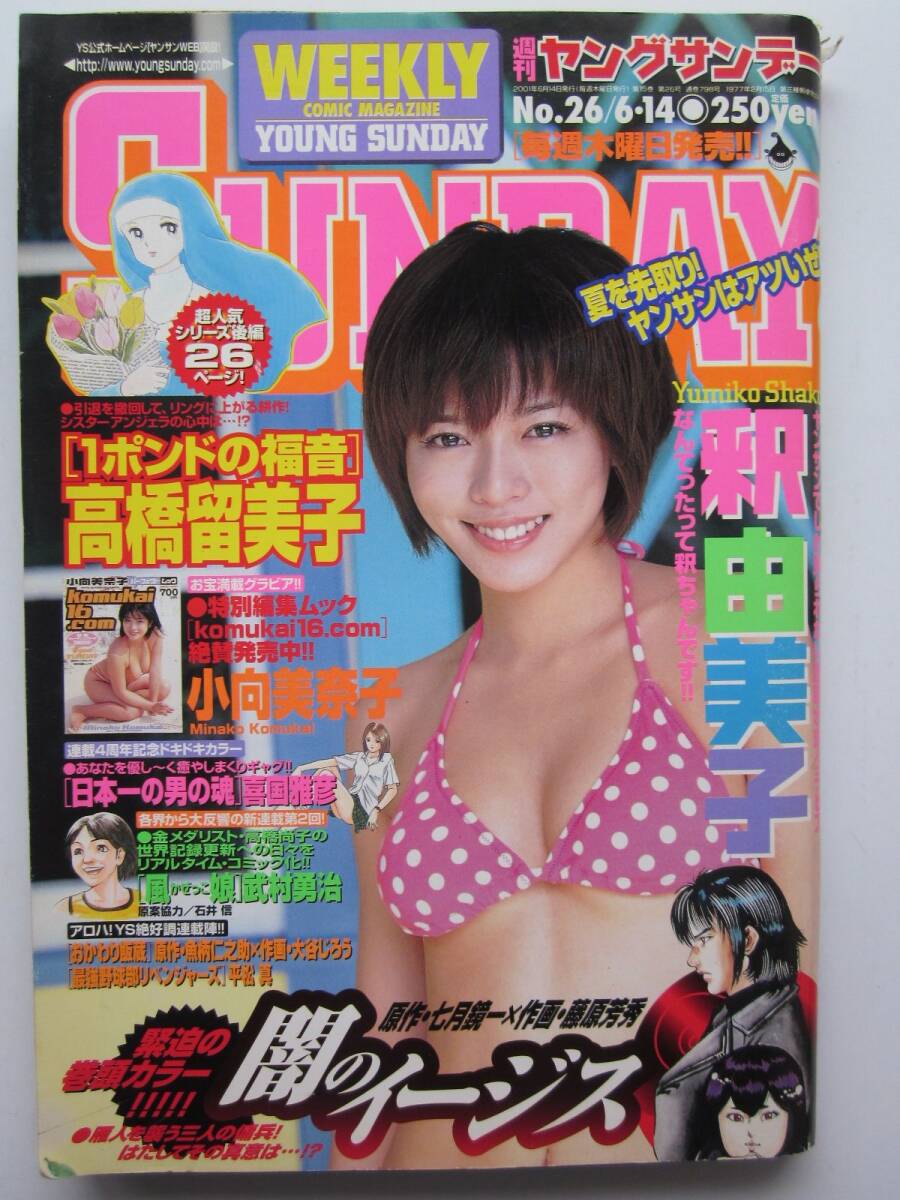 2025年最新】Yahoo!オークション -小向美奈子(男性コミック誌)の