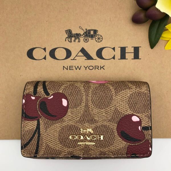 COACH ★大人気★ 5リングキーケース シグネチャー キャンバス チェリープリント CAB15 IMTAM 新品