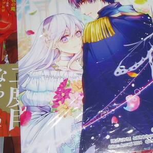 回帰した悪逆皇女は黒歴史を塗り替える 1