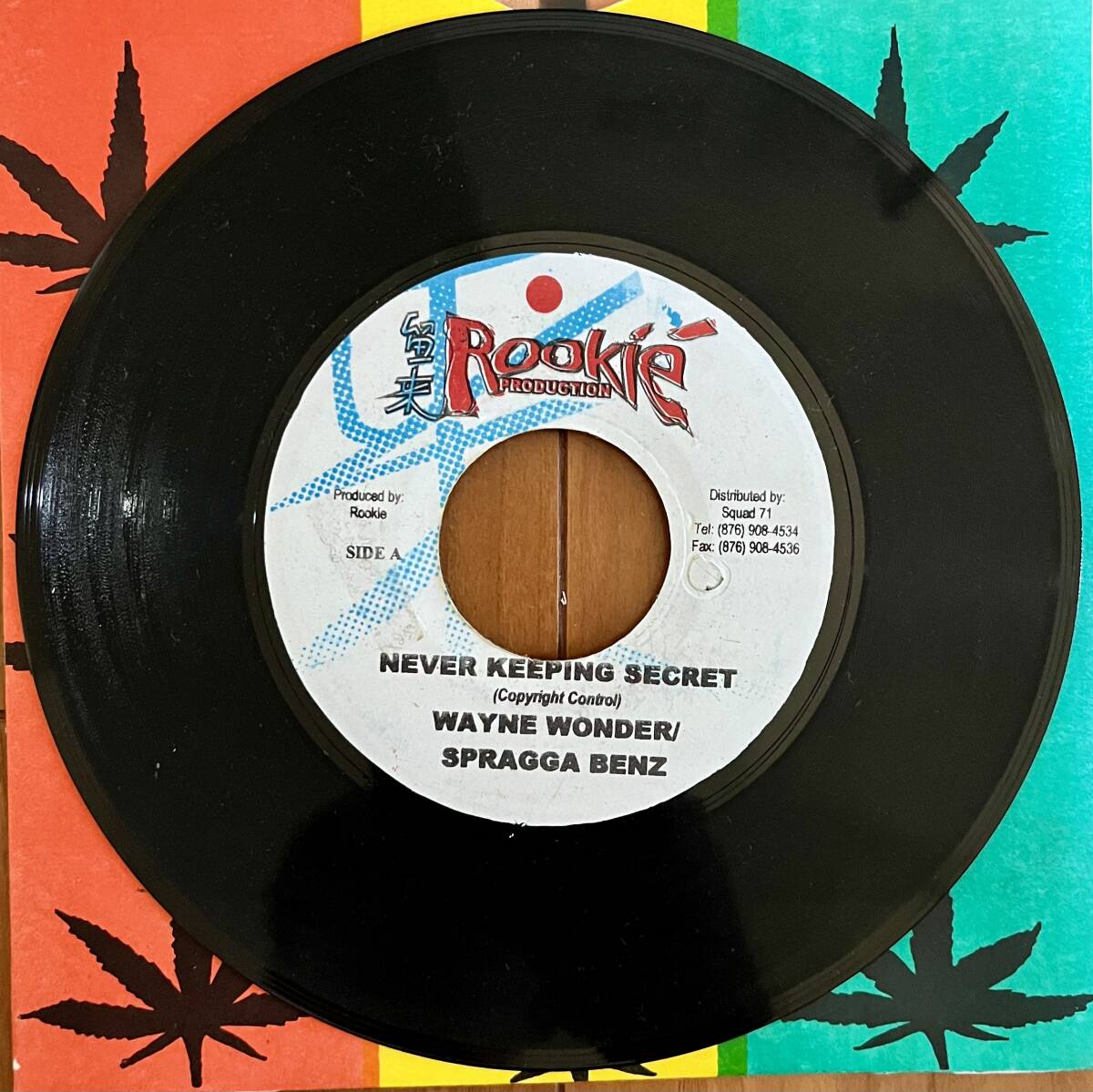 Wayne Fire - Sexy Body / Leave It (Mad Madオケ) / Them No