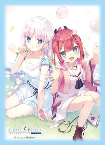 2025年最新】Yahoo!オークション -summer pockets スリーブの