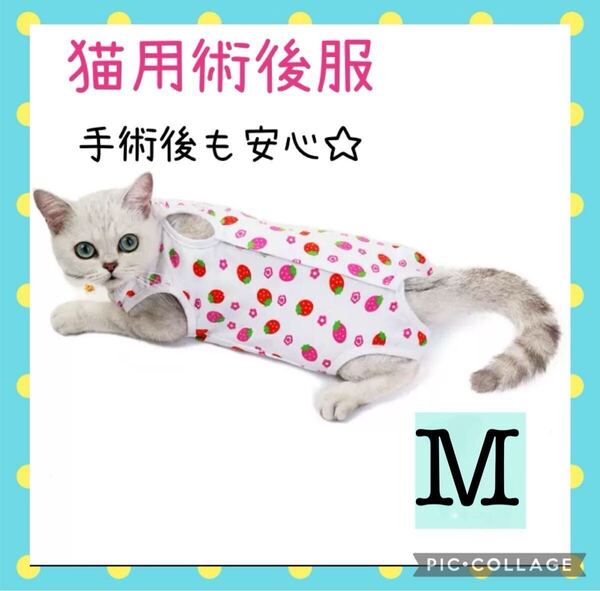 【可愛い☆】Mサイズ 猫用術後服 手術後服 苺柄 エリザベスウェア 傷口保護 引っ掻き防止 舐め防止 着脱簡単 可愛い