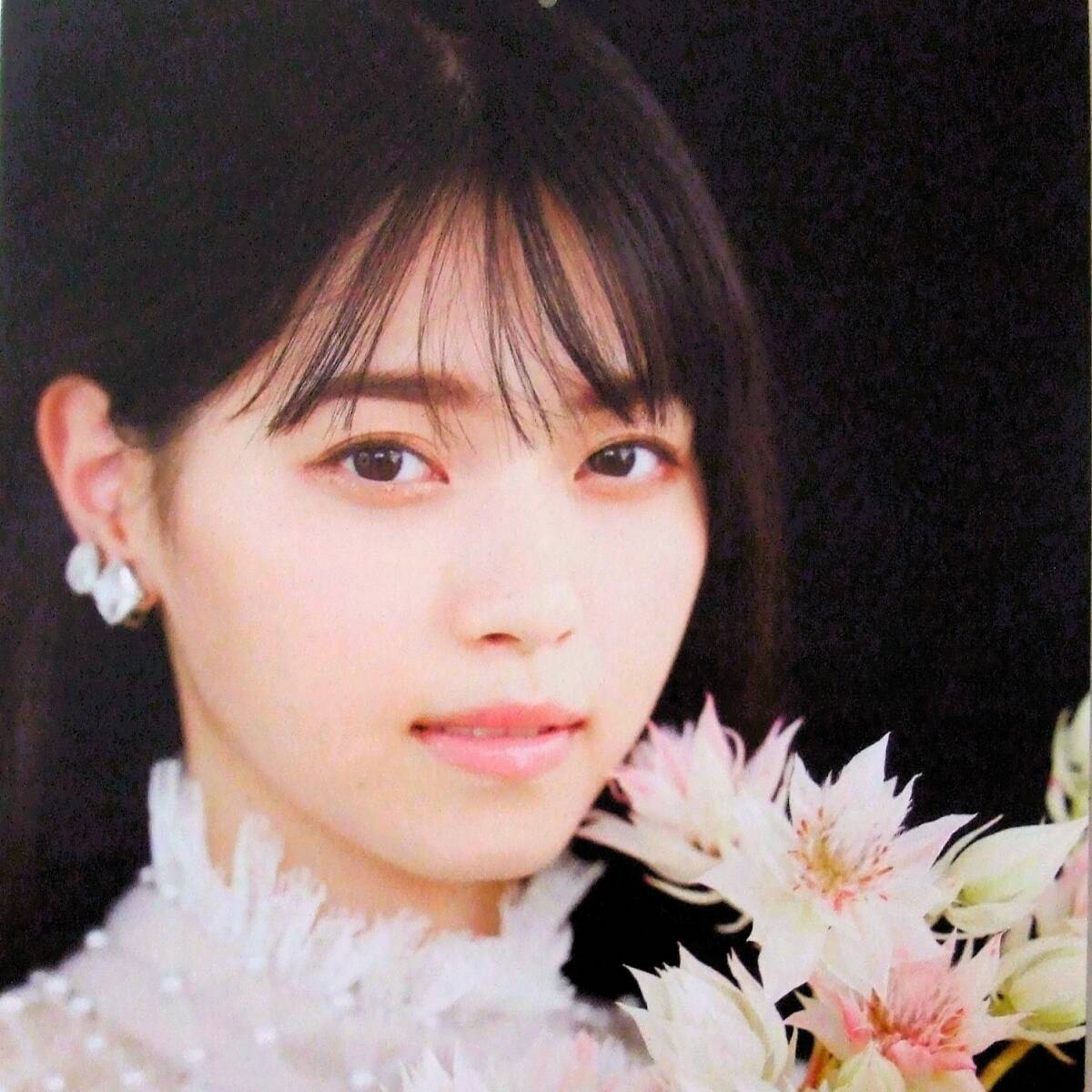 2025年最新】Yahoo!オークション -乃木坂46 ポスター(タレント 2025年最新】Yahoo!オークション -乃木坂46 ポスター(タレント