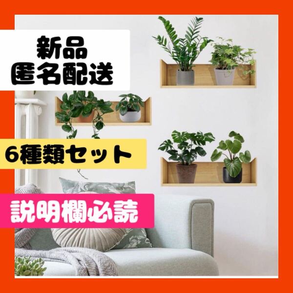 【即購入可】ウォールステッカー 壁紙 リメイクシート 植物 植木 鉢植え シール
