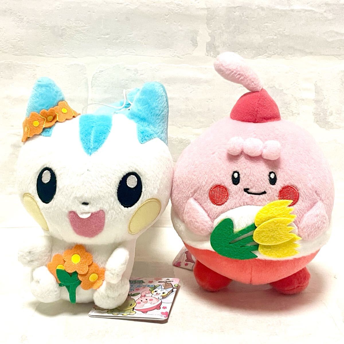 楽天市場】ピンプク ぬいぐるみの通販