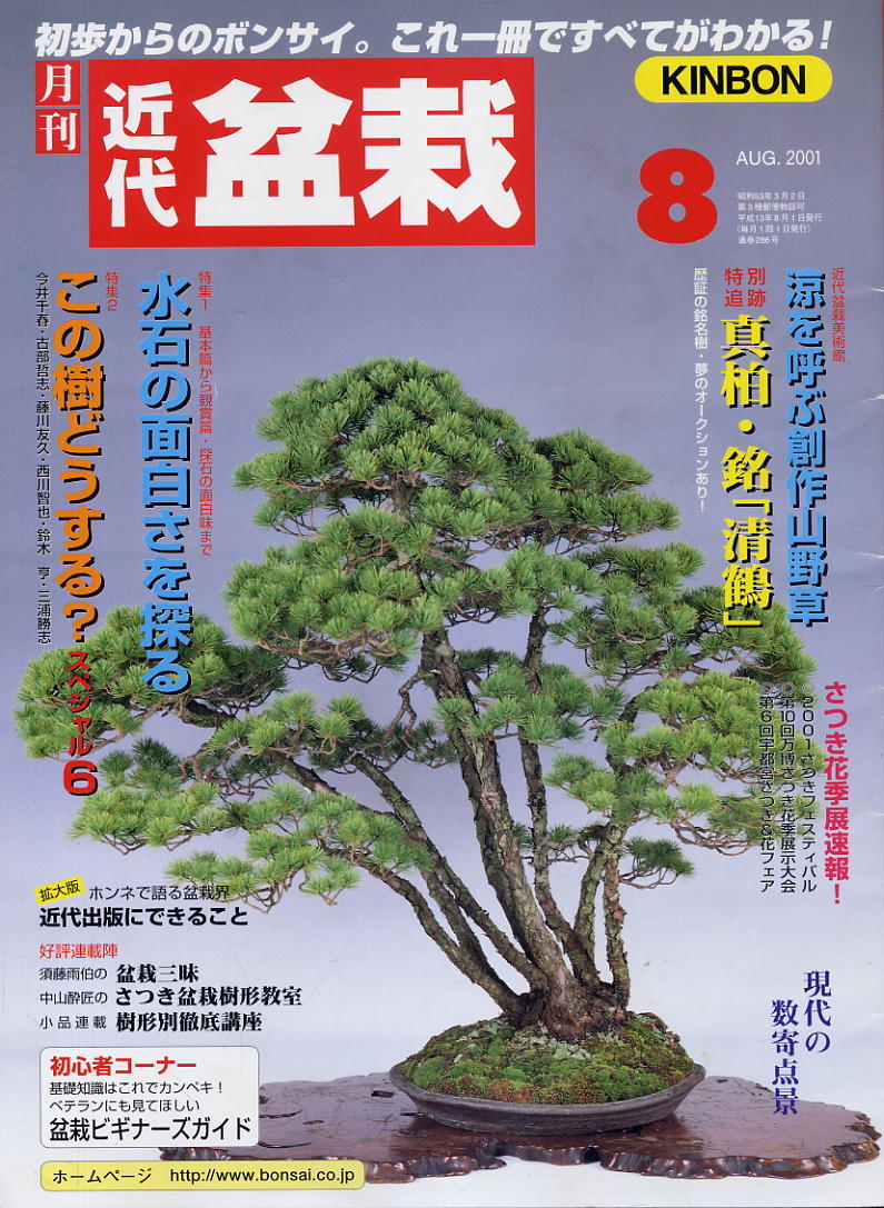 2025年最新】Yahoo!オークション -水石(本、雑誌)の中古品・新品 2025年最新】Yahoo!オークション -水石(本、雑誌)の中古品・新品