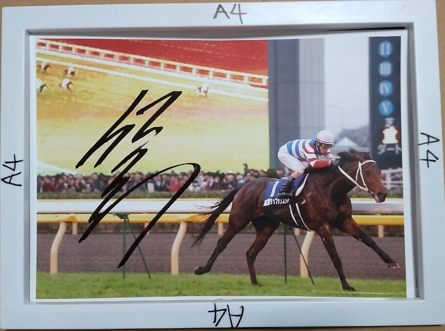 Yahoo!オークション -「タップダンスシチー」(競馬) の落札相場