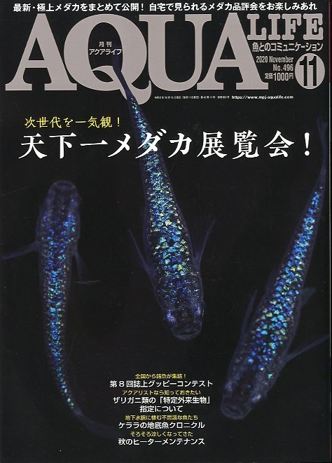 2025年最新】Yahoo!オークション -アクアライフ 11の中古品