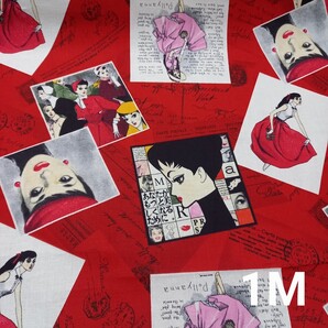 シーチング生地 postkarte 赤 ひまわりや 中原淳一 YUWA パネル パッチワーク 1M