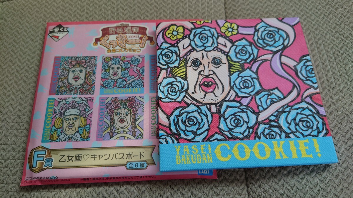 2025年最新】Yahoo!オークション -野性爆弾くっきーの中古品