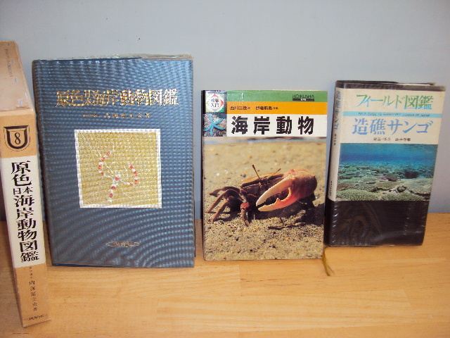 2025年最新】Yahoo!オークション -海岸動物図鑑の中古品・新品 2025年最新】Yahoo!オークション -海岸動物図鑑の中古品・新品