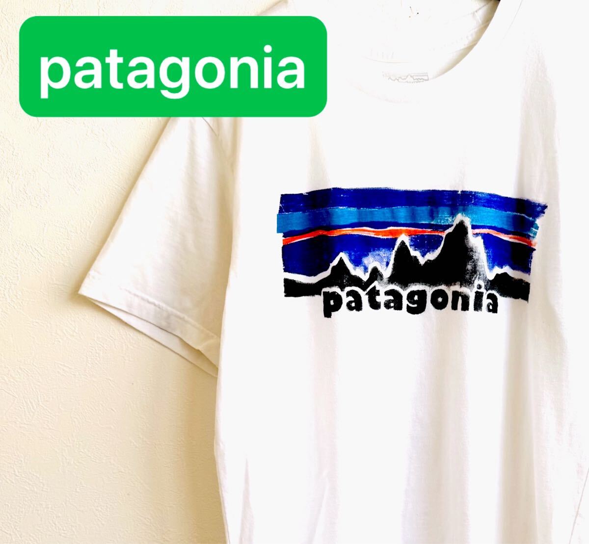 【おまけ付】 patagonia 90s 希少柄 パタゴニア T 半袖 オーガニックコットン 半袖Tシャツ