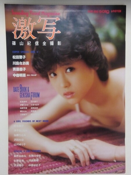 別冊GORO 激写 写真集 第12号 昭和58年発行 デッドストック