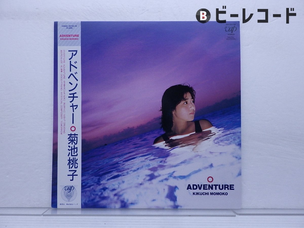ADVENTURE (輸入/ブルーヴァイナル仕様/アナログレコード/Ship