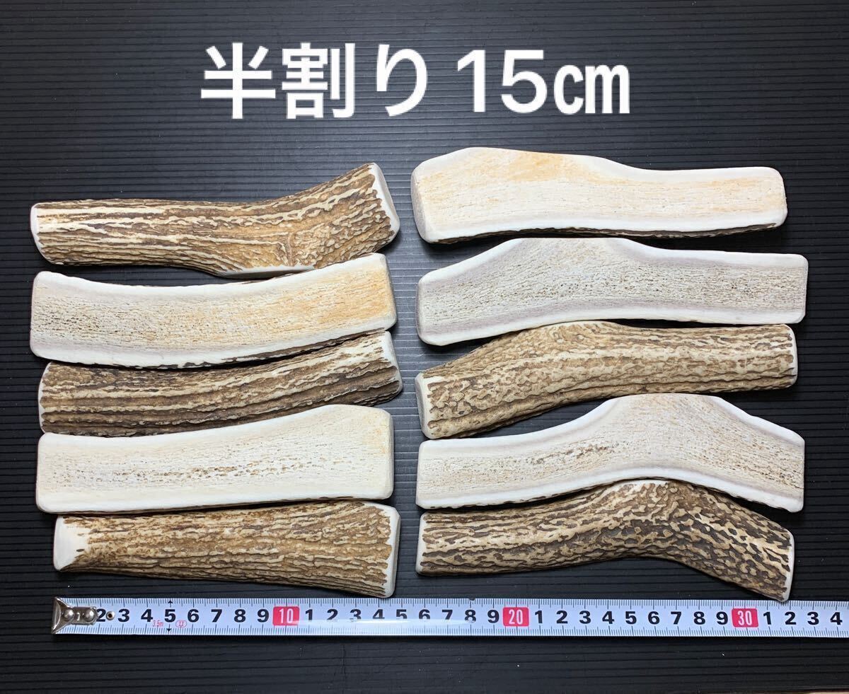 鹿の角 北海道産 10月入手 9セットまとめ売り