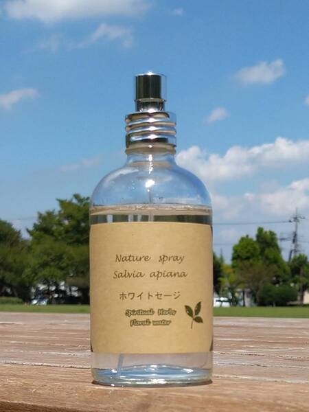 自家栽培 国産オーガニック“生”ホワイトセージ100%使用 フローラルウォーター100ml 浄化 お清め 加湿