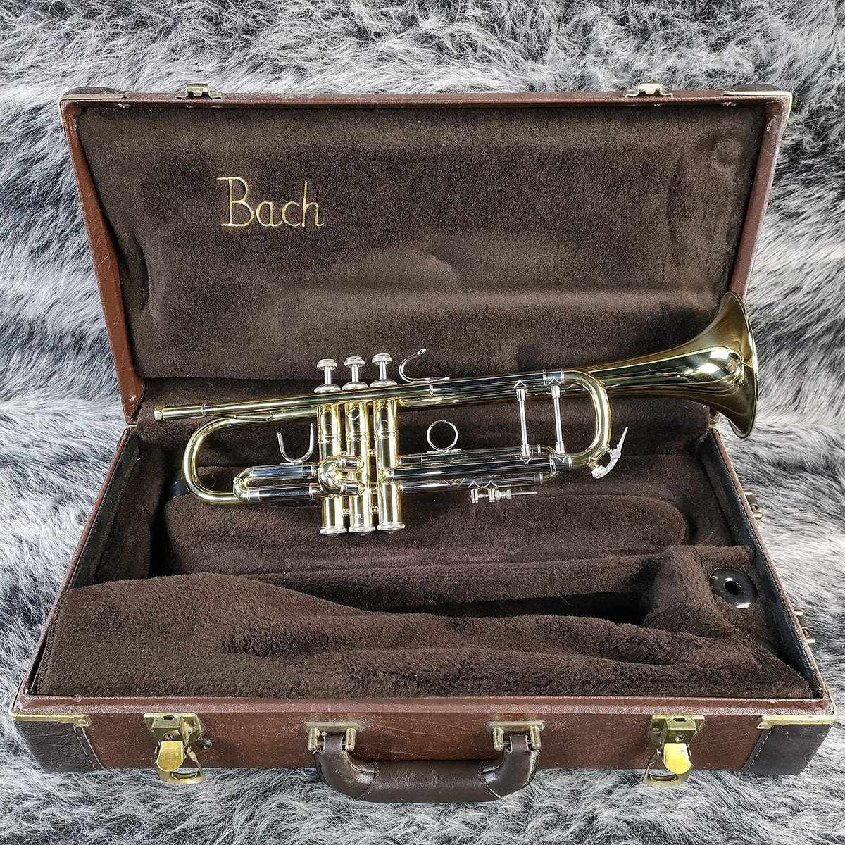 Yahoo!オークション -「bach 37」の落札相場・落札価格 Yahoo!オークション -「bach 37」の落札相場・落札価格