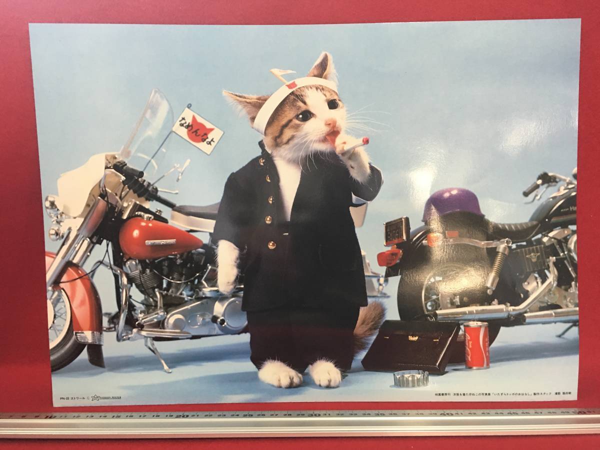 2025年最新】Yahoo!オークション -なめ猫ポスター(アンティーク