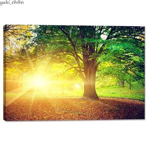 アートパネル 森林 装飾画 07 長さ60cm 幅90cm 木枠付き 壁掛け ポスター 絵画 風景画 開運 風水 自然 インテリア