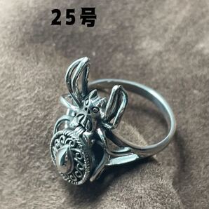 KSQ7LBみs SILVER925毒蜘蛛指輪ジュエリーポイズンリングシルバーロケットリング25s