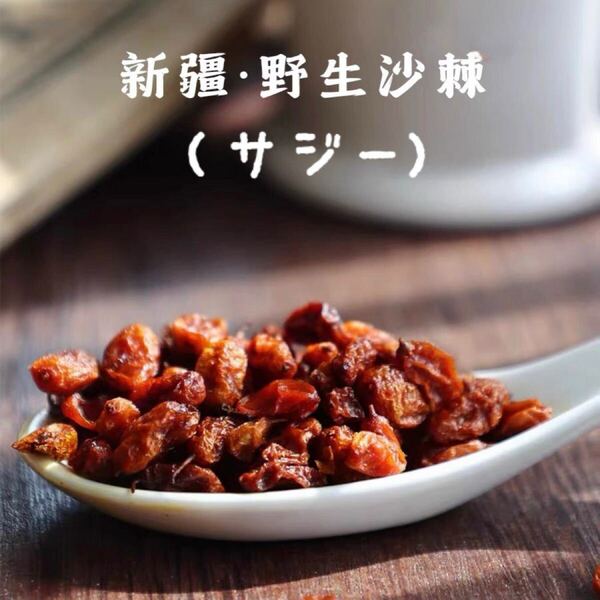 新疆野生サジー 乾燥ドライフルーツ100g 沙棘 無添加 原料そのまま サジー 沙棘 沙棘の実 サジー 豊潤新疆野生原料そのまま サジーフルーツ