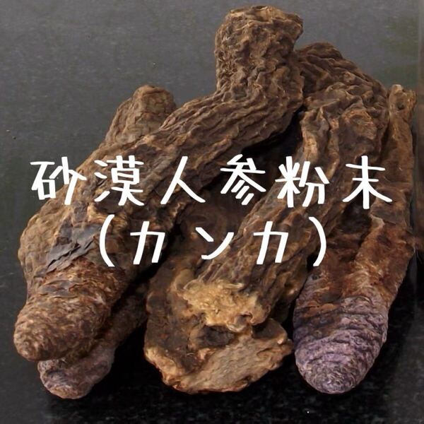 新疆ウイグル産砂漠人参粉末100g カンカ 人参 高麗人参 田七人参 マカ送料無料匿名配送
