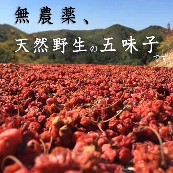 五味子100g オミジャ オミジャ茶 天然 野生 北五味子 五味子茶 五味子酒