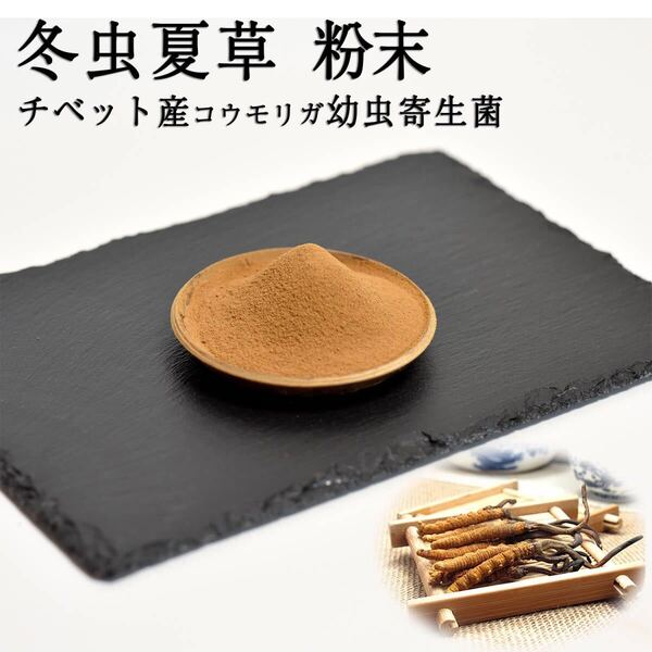 西藏冬虫夏草 チベット冬虫夏草 粉末30g(コウモリガ幼虫寄生菌) 秘境5000m級チベットコルジセプス・シネンシス菌 冬虫夏草