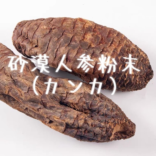 新疆ウイグル産砂漠人参粉末100g カンカ 人参 高麗人参 田七人参 マカ