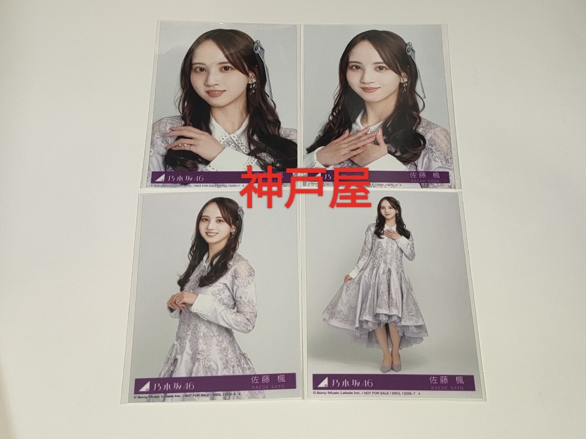 乃木坂46 生写真 ボーダー 京都パルスプラザ コンプ フルコンプ 乃木坂46 生写真 ボーダー 京都パルスプラザ コンプ フルコンプ