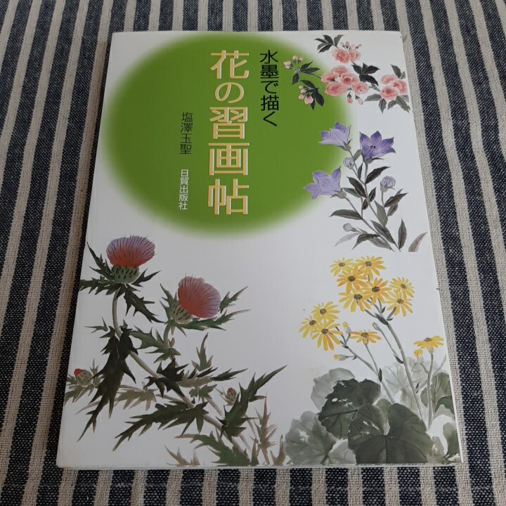 2025年最新】Yahoo!オークション -塩澤玉聖の中古品・新品・未