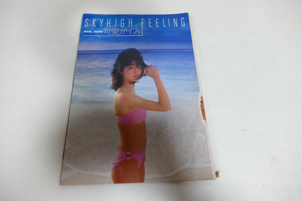 Yahoo!オークション -「可愛かずみ」の落札相場・落札価格