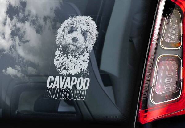 ◆キャバプー CAVAPOO キャバリア x プードル ミックス 200 x 100mm 外張り@カーステッカー@外貼り@カー ステッカー シール DOG 犬 D1