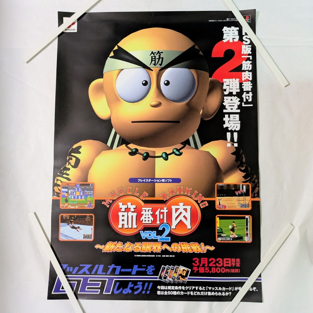 2025年最新】Yahoo!オークション -筋肉番付の中古品・新品・未