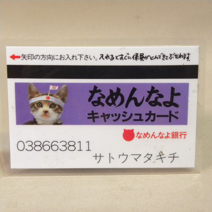 2025年最新】Yahoo!オークション -なめ猫(その他)の中古品・新品 2025年最新】Yahoo!オークション -なめ猫(その他)の中古品・新品