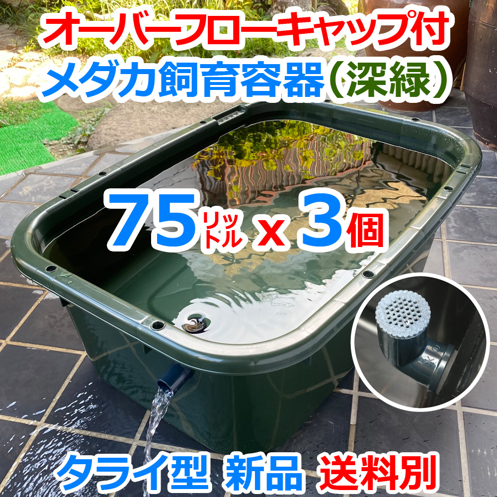 楽天市場】メダカ飼育ケース 容量2.4L : 100円雑貨＆日用品卸-BABABA
